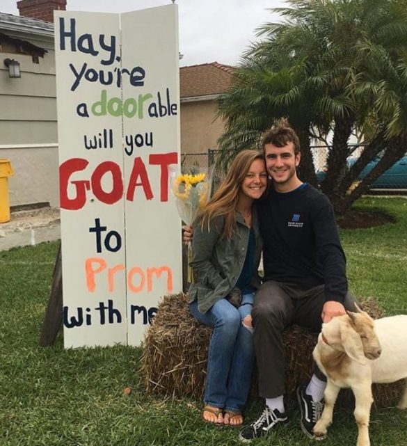 Prom Goat 22 Cute and Romantic Promposal Ideas You Need to See - Raising Teens Today